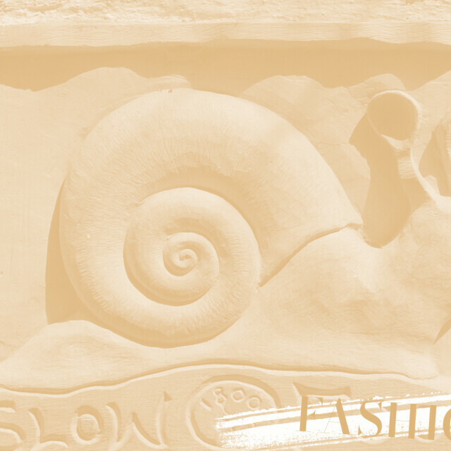 «Slow fashion как новая ценностно-символическая парадигма в индустрии моды». Лекция культуролога Александры Блажески