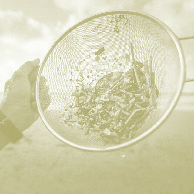 «Что мы знаем о микропластике в океане?» Лекция океанолога Игоря Жданова