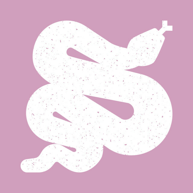 «Питон — это змея?» <span>Мастер</span>-класс по разработке игры на Python