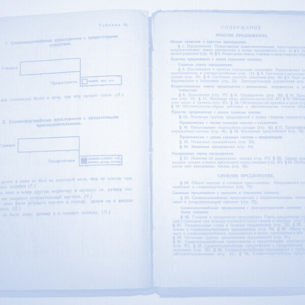 «<span>Русский</span> синтаксис: всегда ли мы знаем, как правильно?» Интерактивная лекция лингвиста Александра Летучего
