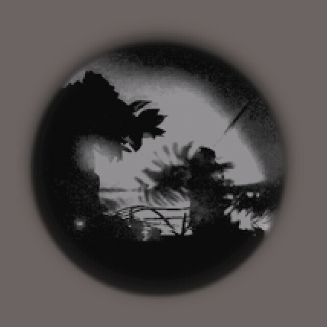 «Светомузыкальная импровизация». Концерт