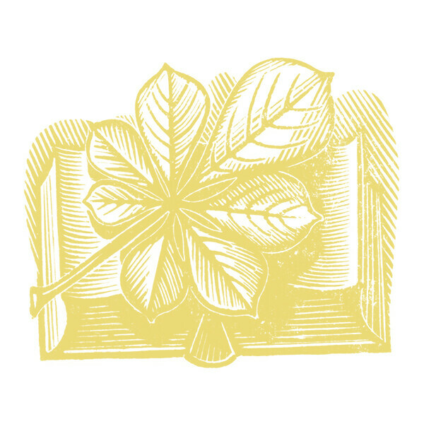 Литературно-просветительский клуб чтения на ингушском языке «ГIА»