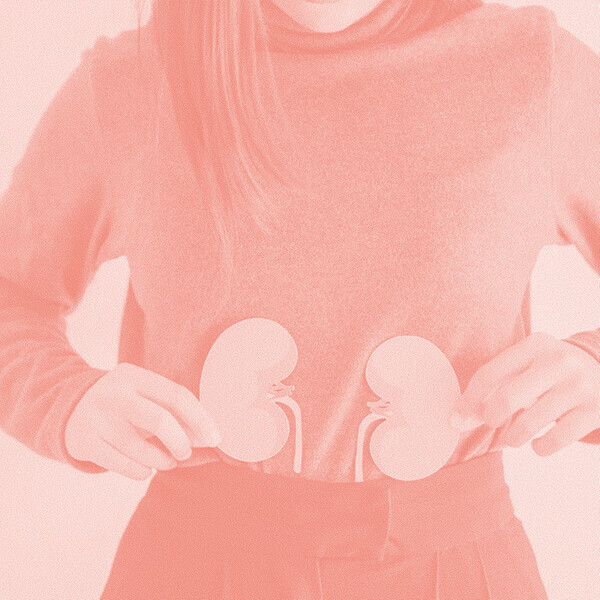 «Плата за азот и белок: выделительные системы в <span>живой</span> природе». Лекция биолога Антона Терентьева