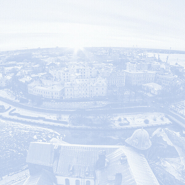 «Широта одна — городская природа разная». Лекция биолога Аглаи Цидулко