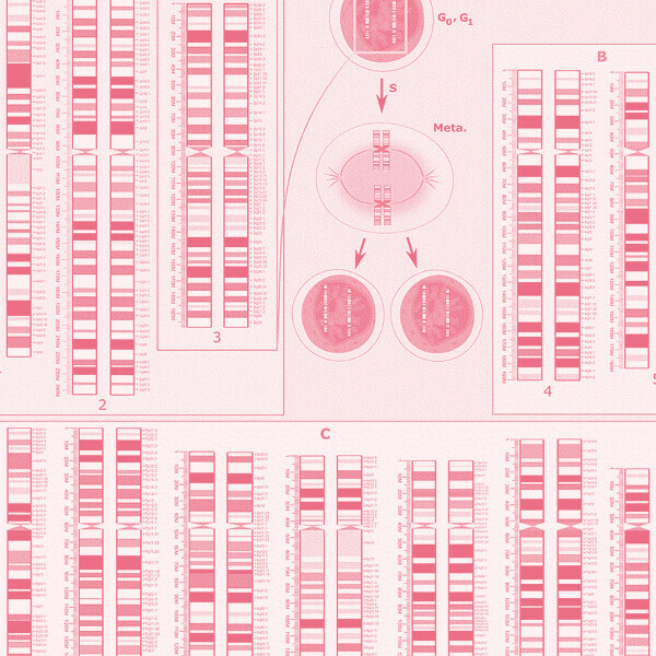 «Биология: гены». Занятие в Вечерней школе Политехнического музея
