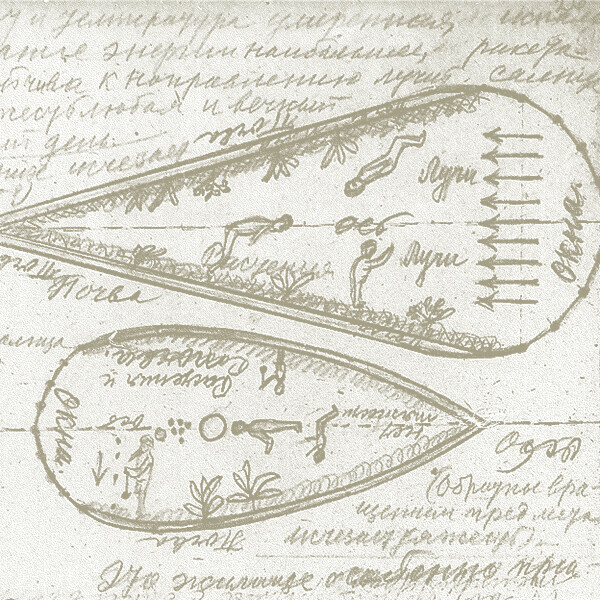 «Траектория памяти: космическая история в документах Архива Российской академии наук». Лекция историка Ольги Селивановой