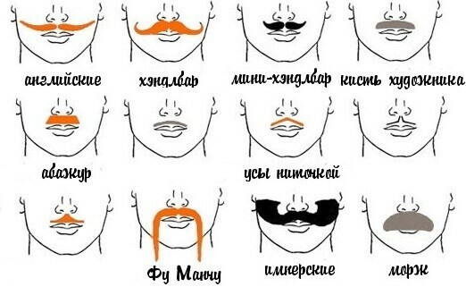Серия <span>мастер</span>-классов «Читаем и делаем». «Усы»
