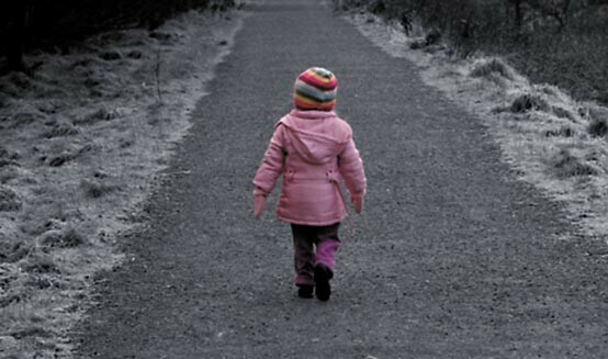 Родительское <span>собрание</span> Школы безопасности Liza Alert