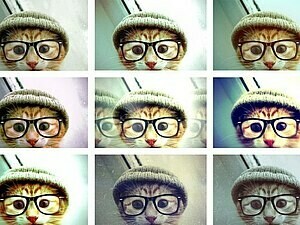 Набор на  курс «Фоторедакторы. 55+». Организационное <span>собрание</span>